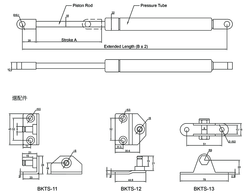 Stainless Steel Gas Spring 10mmX22mm (TCS-L5SM810 Series)